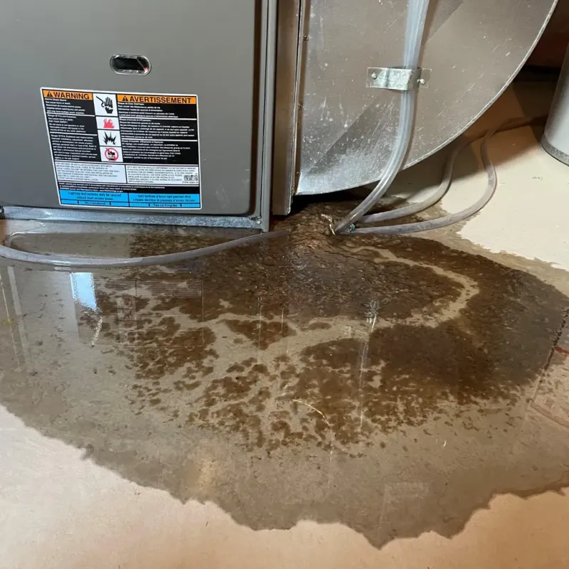 Appliance Leak Cleanup in Lynn, IN